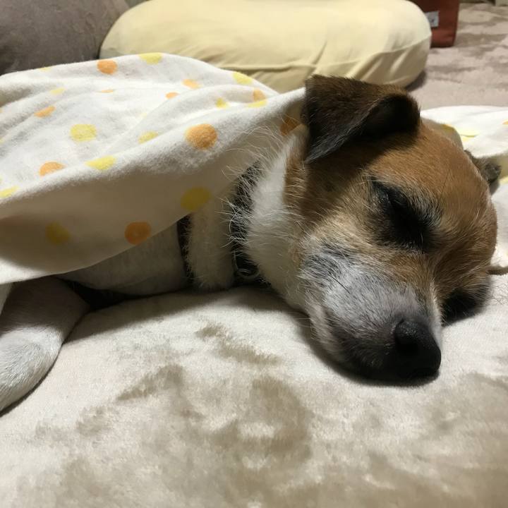 4c9e208d b59e 4aff a03d 5d737945adcb 1526561818060