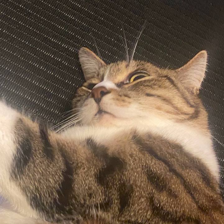 4c9e8364 bb01 4f78 b3a7 9e67cf0d67ee 1586539950443