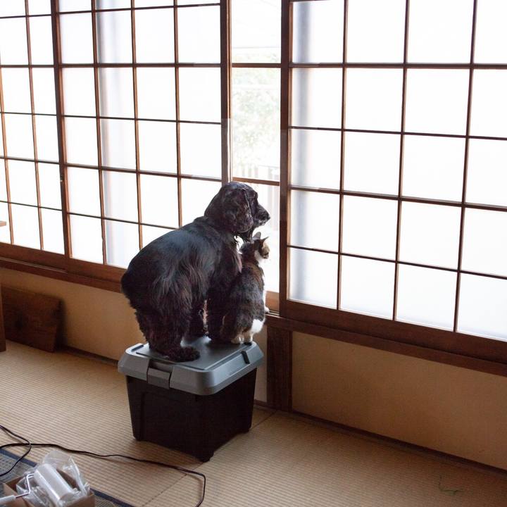 4c9e8668 01a6 400d 885d 704092446d5b 1548590086647