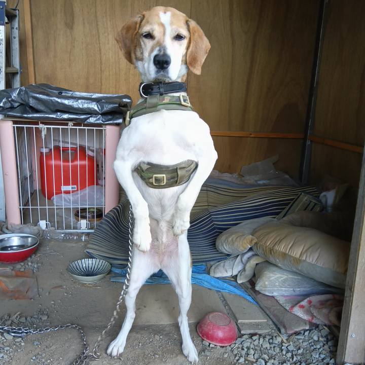 4c9e983d 390d 434d b07f 5149283a497c 1716290476161