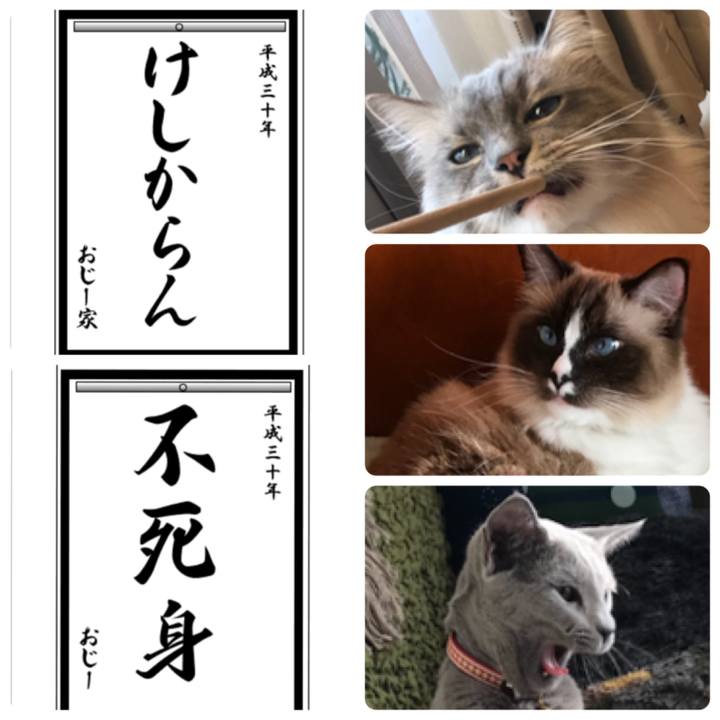 4c9ea383 cf14 4d4b 9ef1 4f945cc41685 1515053361434