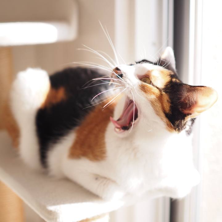 4c9eb288 4043 45b0 9bef b6a7d06139ec 1519735579224