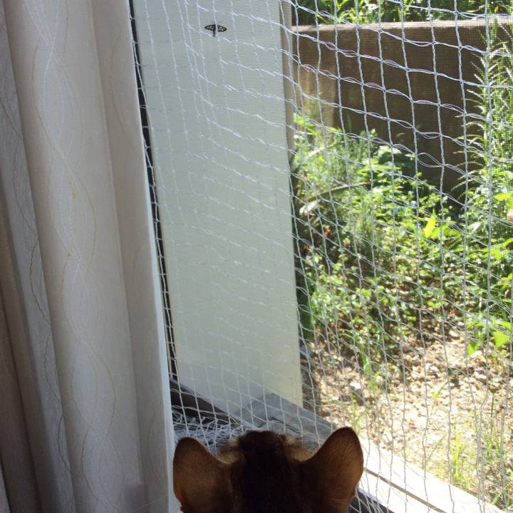 4c9f09df d160 469f a77b e7c0284425db 1567991206887