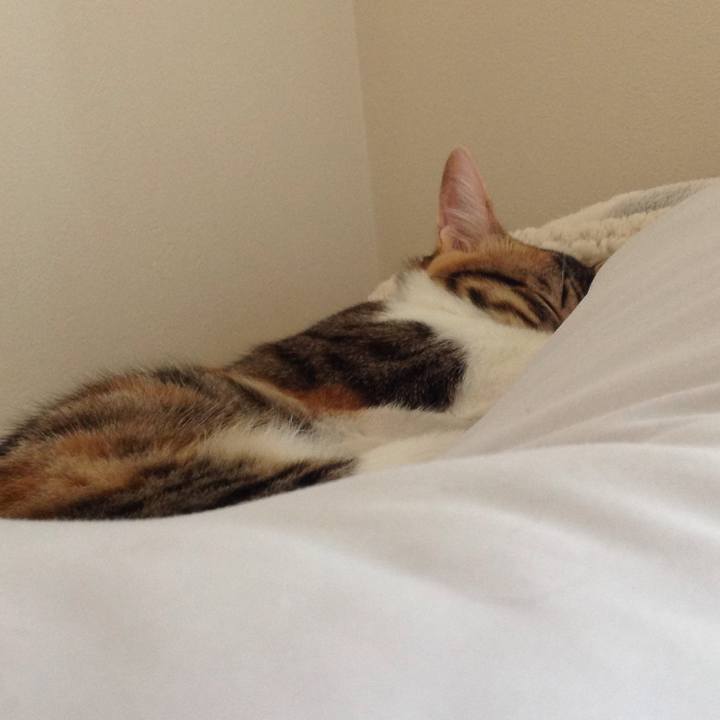 4c9f0eb1 39d7 43b1 90cf b11e3c65856c 1636433761255