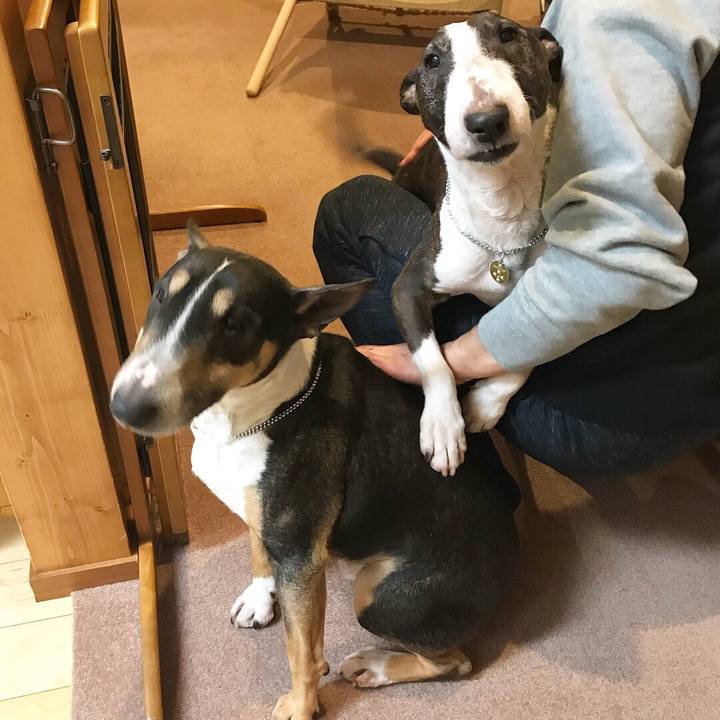 4c9f1871 ba9b 4163 8db6 969fa4bb5eb7 1517916790142