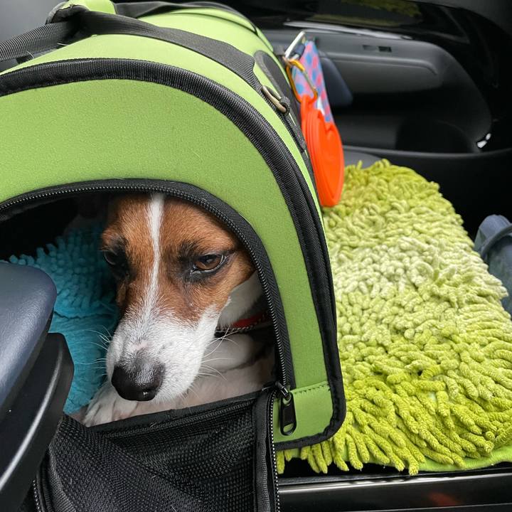 4c9f2837 d6ec 4490 bd09 4f48b5d57246 1647593404315