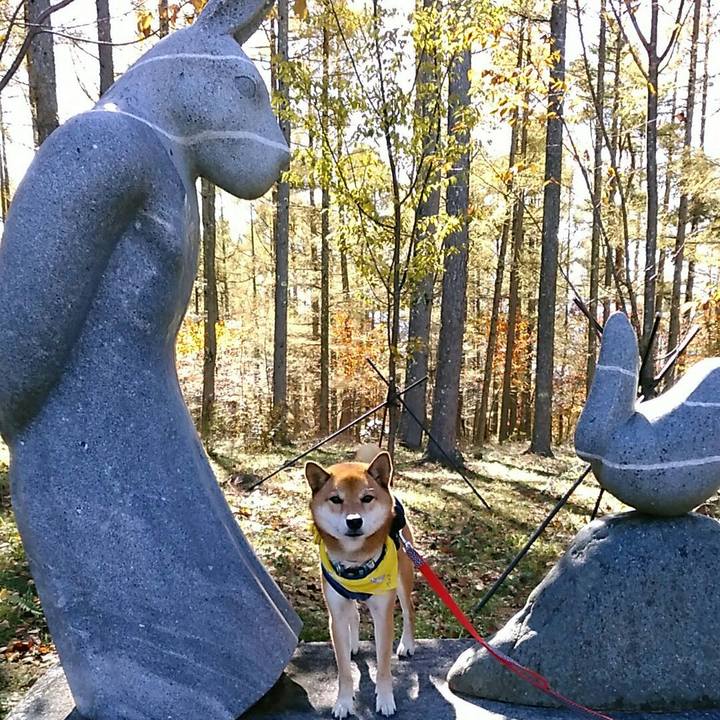 4c9f2a3f 42f6 4ddf b5b4 fafe0b137dfd 1540781152431