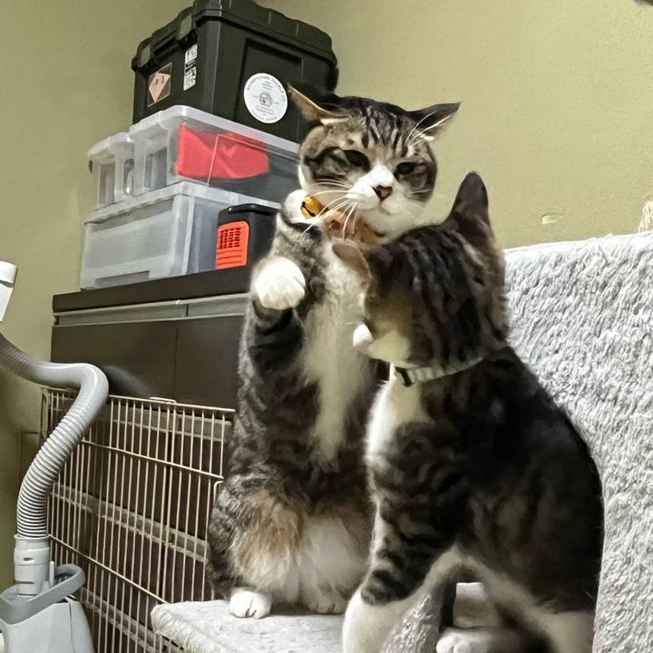 4c9f52df 60e4 4e2d b742 5c388e54fc57 1768731667265