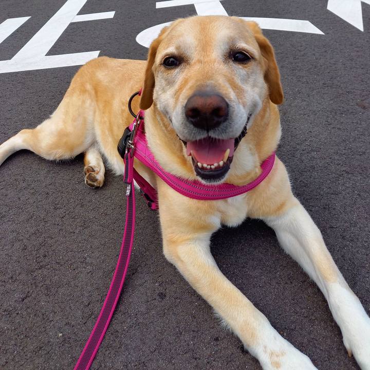 4c9fbdd3 2279 49be 9bef 686384da83f7 1629432398189