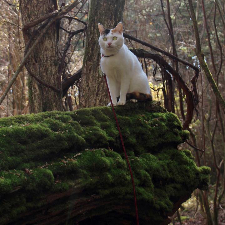 4c9fd23e fdf5 46e1 90e3 9162bd32fc9c 1643066735771