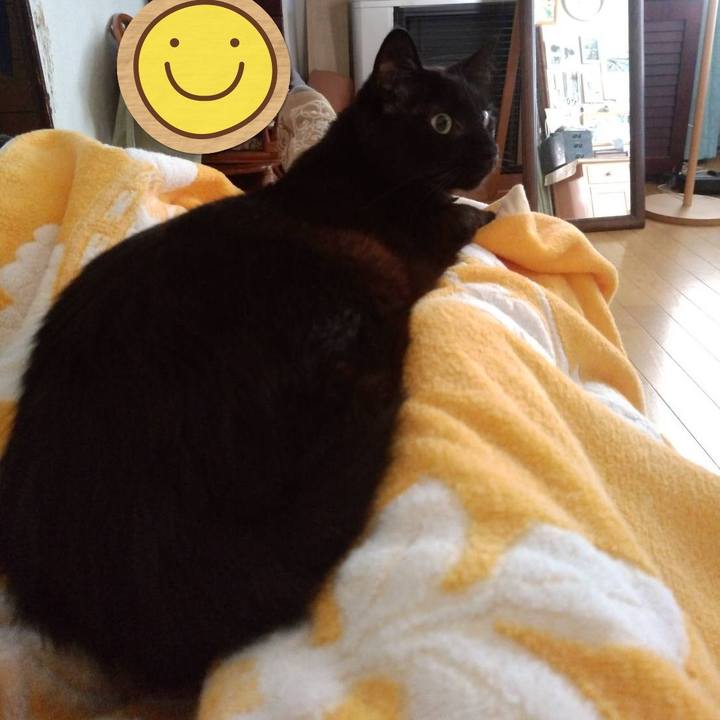 4c9ff998 2e88 4603 889e b56607e506b4 1629004510930