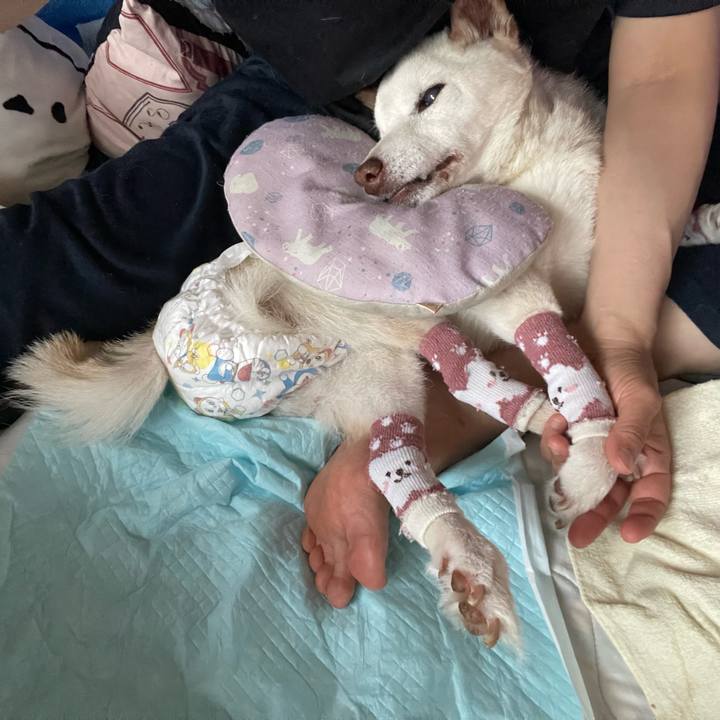 4ca0069f bd12 4f96 b00e 964799f7a224 1683444539181