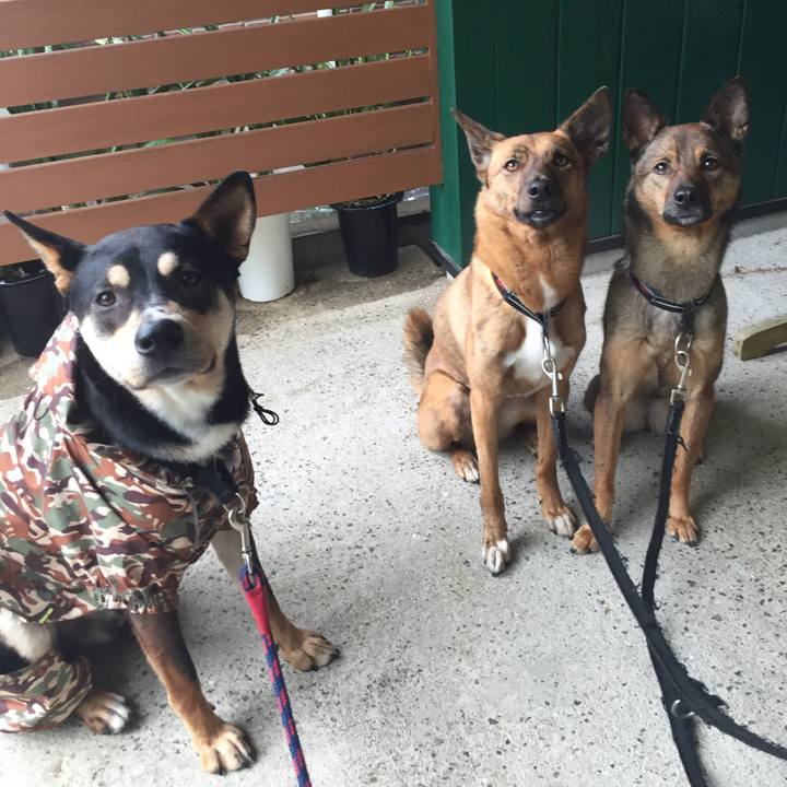 4ca04169 50a5 4eb4 a188 54522f427c4e 1527040305721