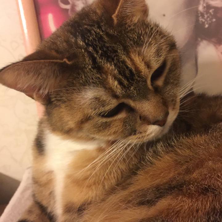 4ca05861 d976 45b1 8b0b 93886d9c8e7f 1547483637664