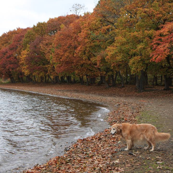 4ca05a29 7efd 4605 adcc 1360912c33cb 1762761058388