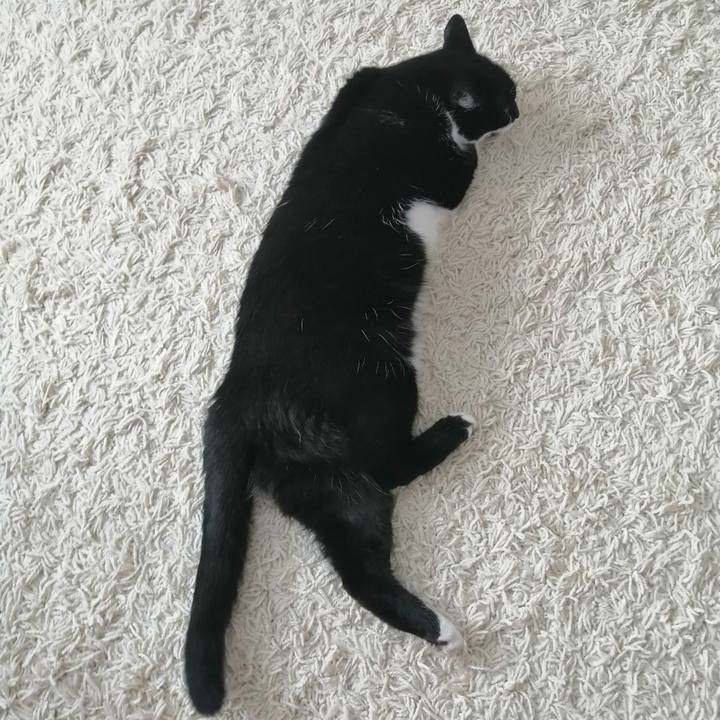 4ca079b5 3aec 4072 9053 d594e5438190 1626016374133