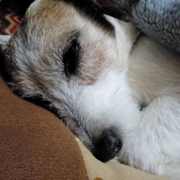 4ca0ce2d cafc 4485 8b4e 6bb791b80fe4 1546085594747