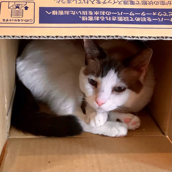 4ca11f42 0615 4a46 bafd 34f7c0dc4bb3 1632393358612