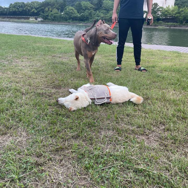 4ca1356e 91cc 4656 890b 7158ff405024 1659273498569