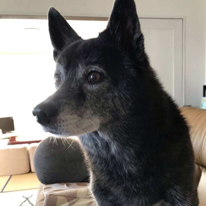 4ca156d4 1f10 4aca 8a02 5368c6ef7a72 1604236659764