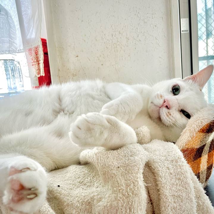 4ca17e33 7bc5 4beb a443 8a1ca36dfb18 1685171556237