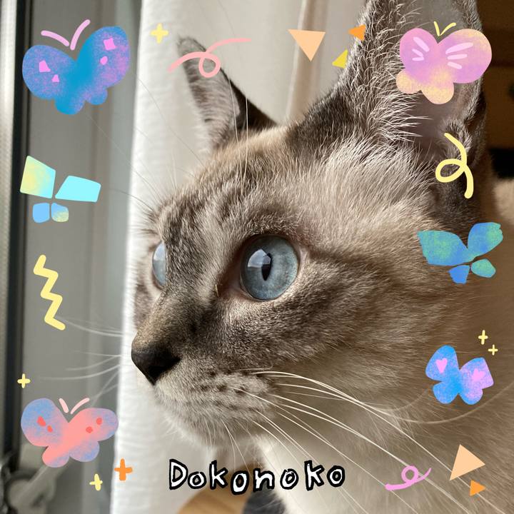 4ca19ba7 6e1d 48bf 8abf 83975b875648 1710998612628