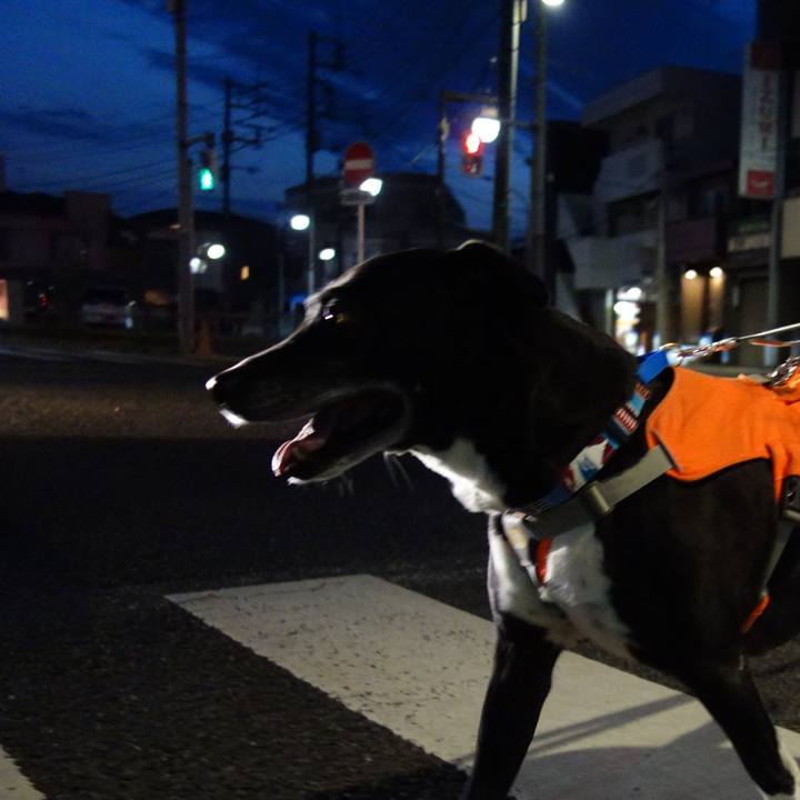 4ca1a926 7fe6 4d35 954b 2a8725f7558e 1744197309425