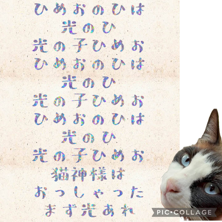 4ca1b899 3a88 47e3 a2c5 0db4113b6b78 1748306075157