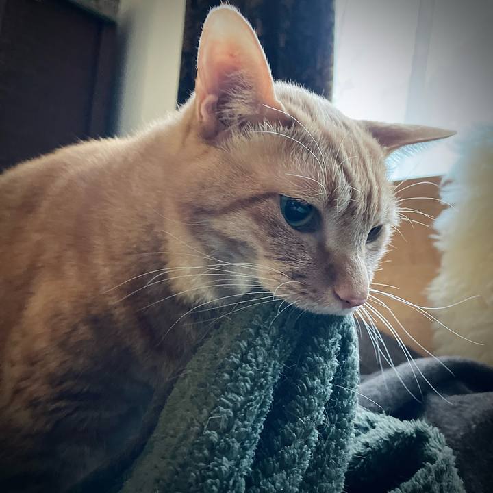 4ca1d999 d71f 446c ad43 04d5ce2c82ee 1700788133075