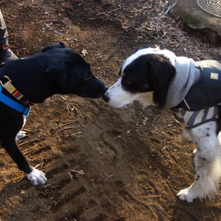 4ca1effd 3071 4642 9632 525a54a1583d 1611275199452