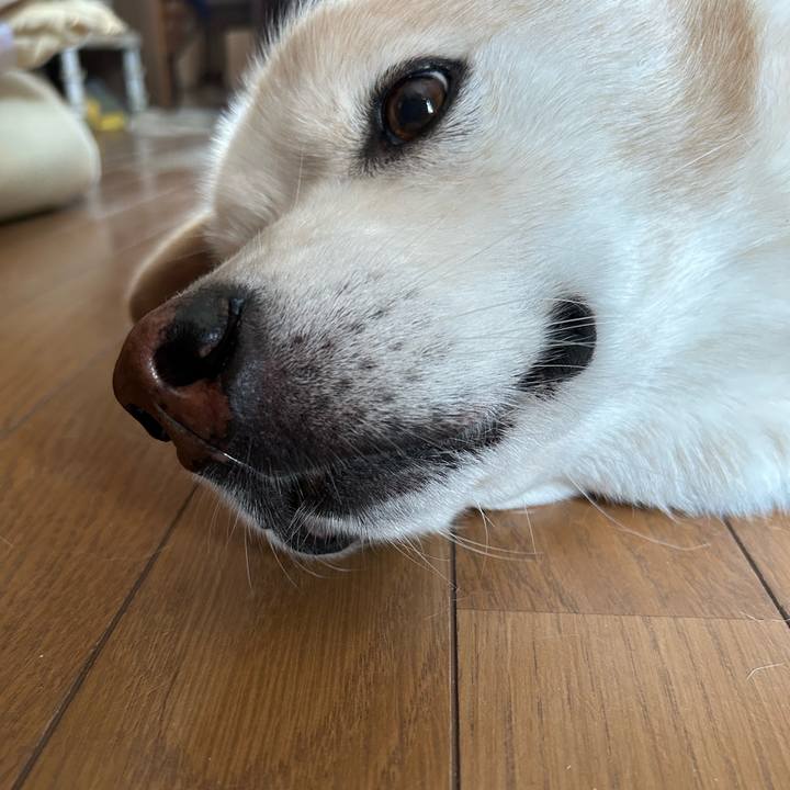 4ca1fcfb a9d0 4965 acec b0d06a05fdbb 1722736929963