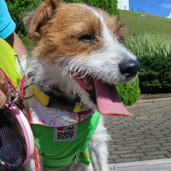 4ca20077 6435 4adf 8dce a40c91928f4a 1539000095863