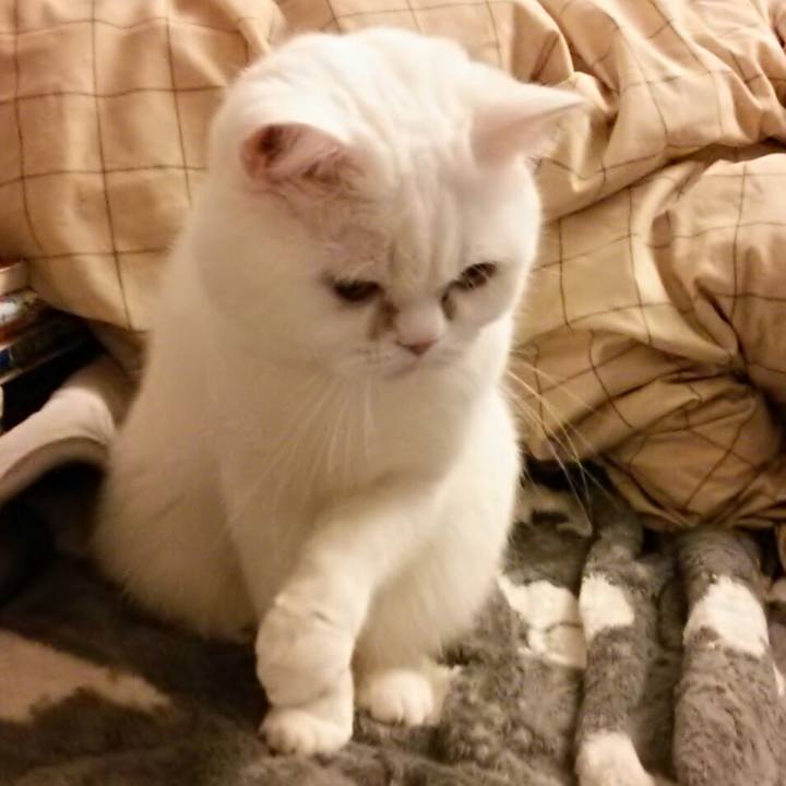 4ca205e2 c49a 46e4 8155 f841cda1445f 1521889990790