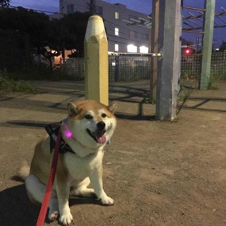 4ca213d2 2a6c 45fe 8c88 844ae8bc6b52 1596453607764