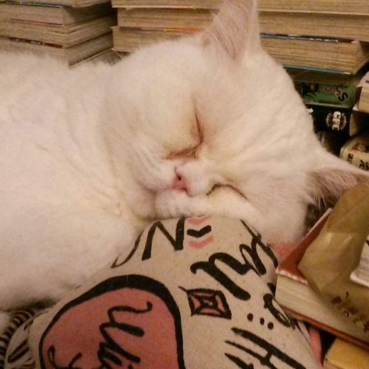 4ca2349d efaa 4b39 893e 946627f7f1c3 1519533385580