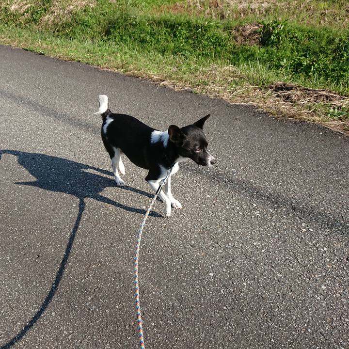 4ca23848 59e0 46fd 886b 14b8a80094b3 1508985115568