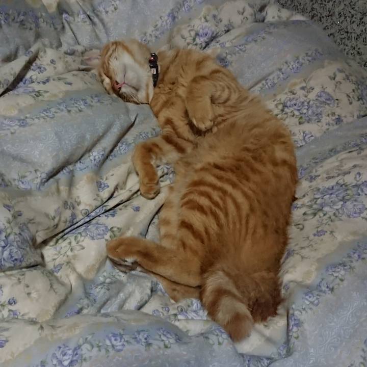 4ca23cda db30 4251 8fc6 32b4e04f992b 1663074983334