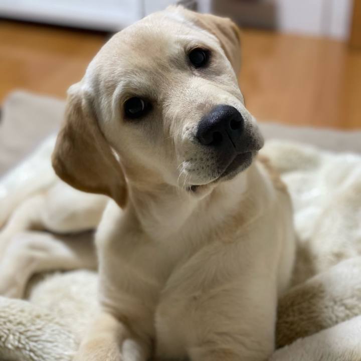 4ca23ea3 8de8 453a a9ed 4c61d5809c08 1615207996849