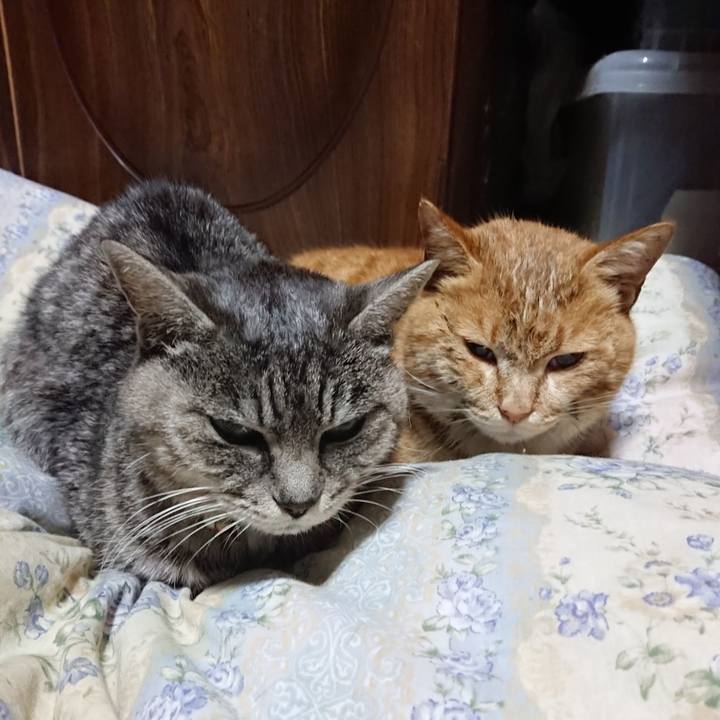 4ca280c0 f27b 4e6d 8fbd 9531adf3b883 1578487380347