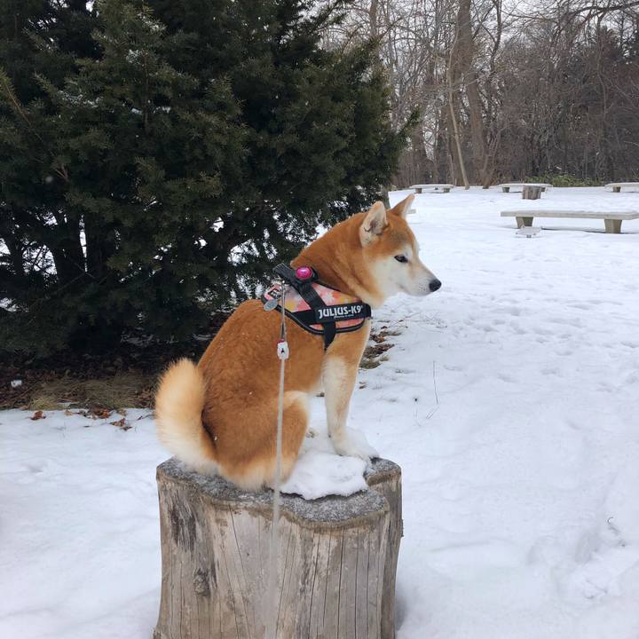 4ca2c035 ef7c 4086 a9d1 43f2957ef1b1 1578709537765