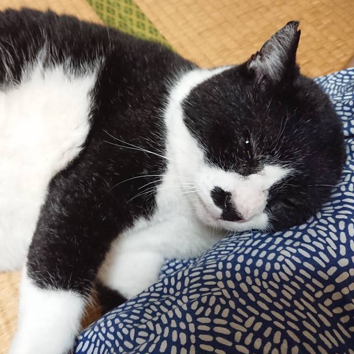 4ca2e3bd bf8f 4cd6 8cd1 0308184e45ba 1625319776144