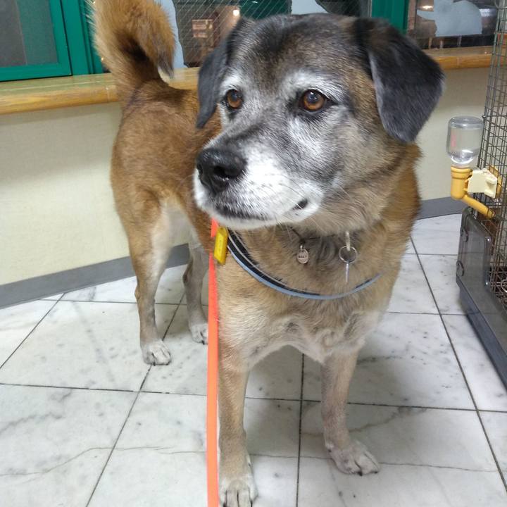 4ca2f3e7 1f83 4edf 80f0 8aaf5fa29fc2 1549970843436