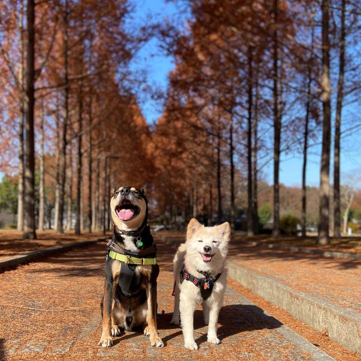 4ca3013e 5ede 4281 959a 32f0479a4b97 1702337980366