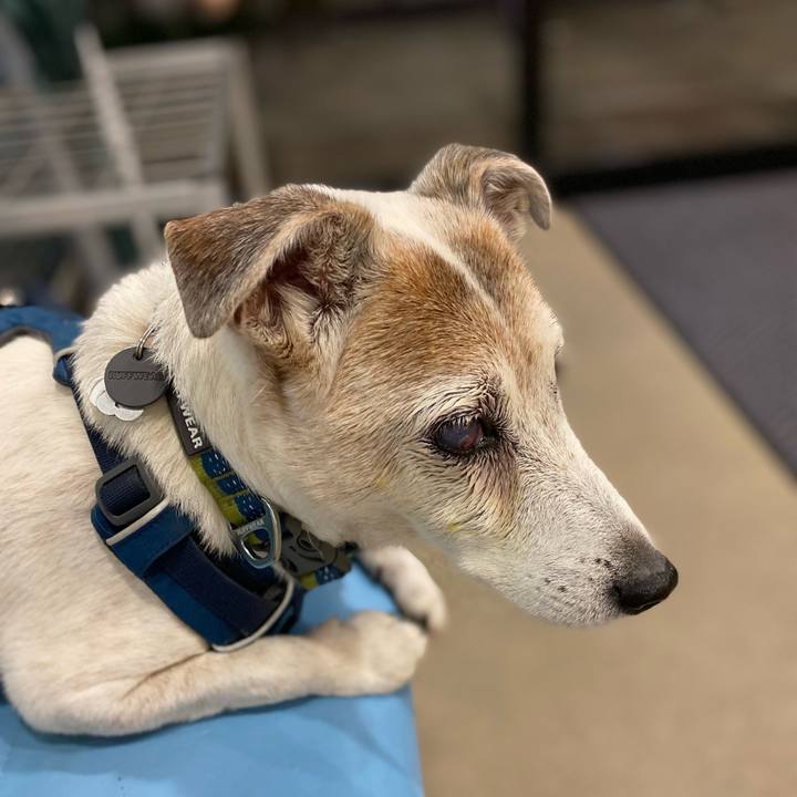 4ca30701 0412 44ee 8419 a0ea3322cc06 1665480321198