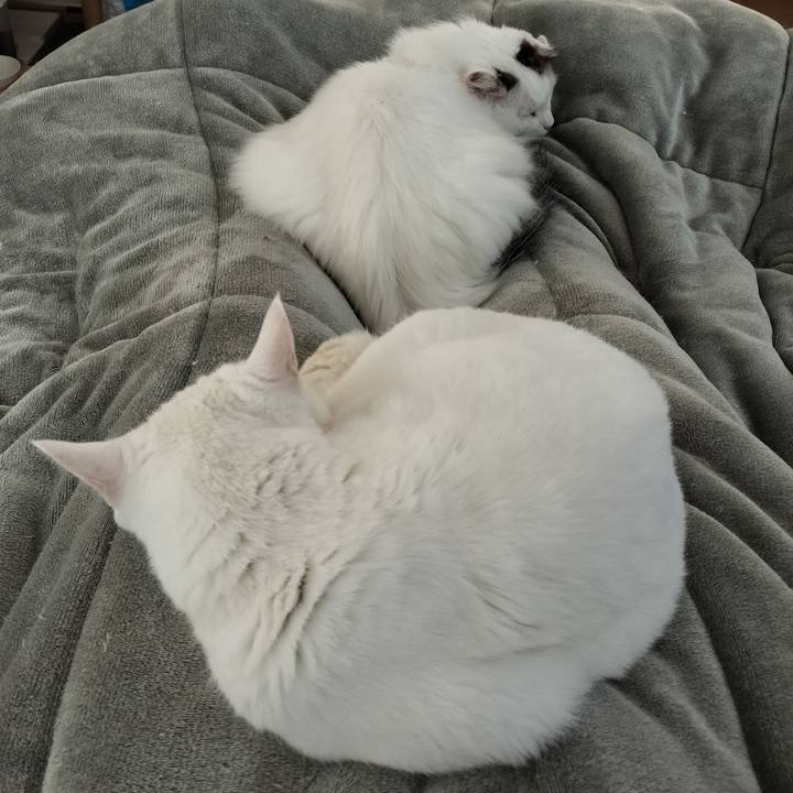 4ca30bb9 21cd 476f 8bb2 bd78501e4f2a 1772932076876