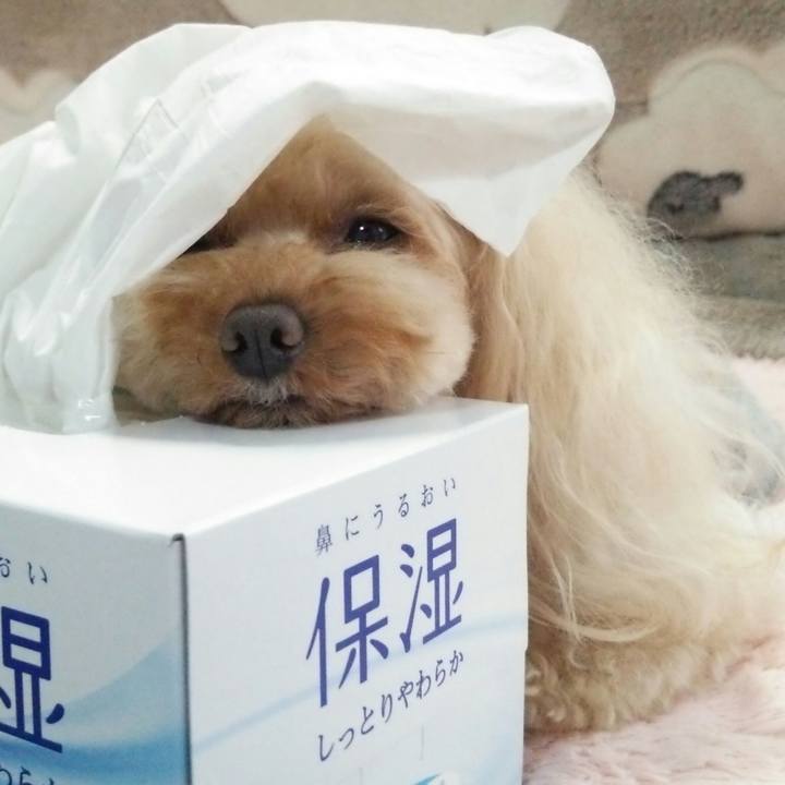 4ca3a960 204a 4a1d 9d5d 1e8ea0ff4008 1524571385609