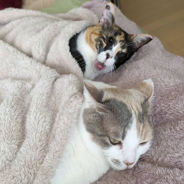 4ca3c3a8 600d 43eb ad8d 6ba3e04347f1 1707192143801