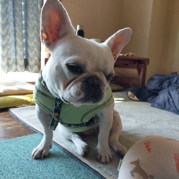 4ca3dfdc 12b9 48ad baa3 cccafc463523 1636071677340