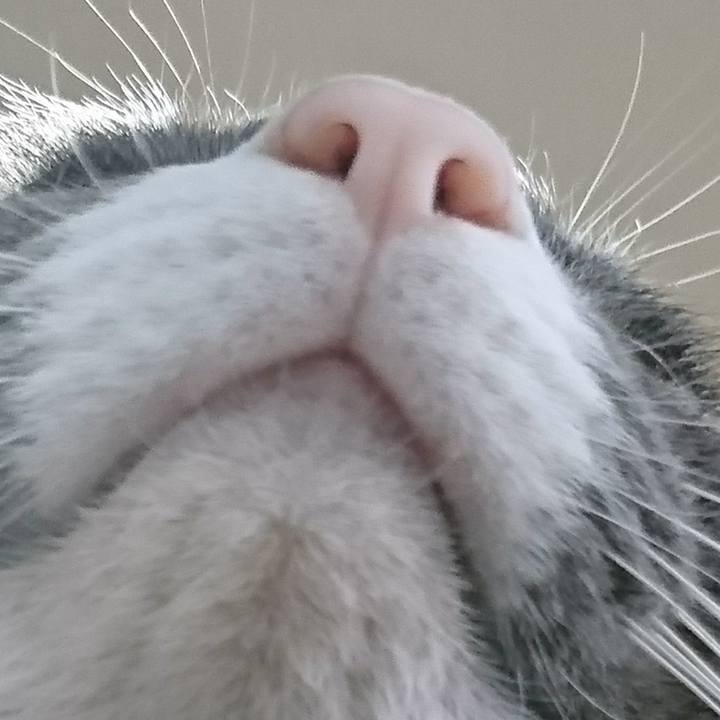 4ca4192c 6681 4939 be40 b54a89ac0982 1511566429732