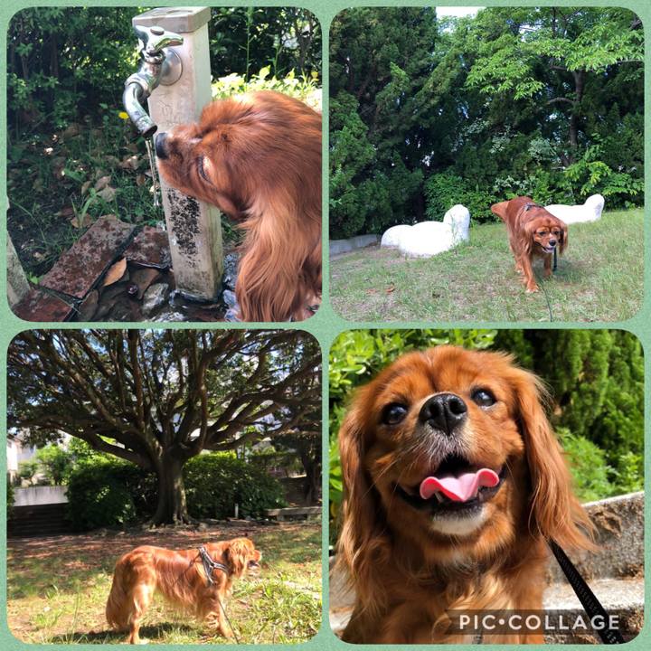 4ca41a24 1cd2 4ff9 ba66 e12cc92e1303 1590221915765